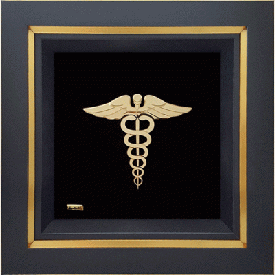 هدیه لوکس داروساز