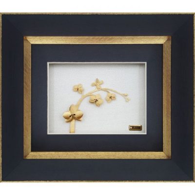 شاخه ارکیده